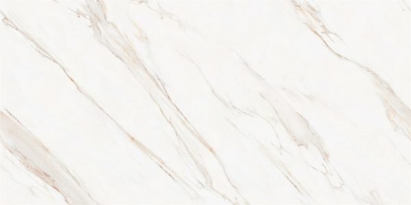 3. DX47 GADAL FISH MAW GOLD(Matte)